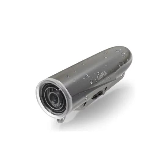 Underwater Canfish Fishing Cam